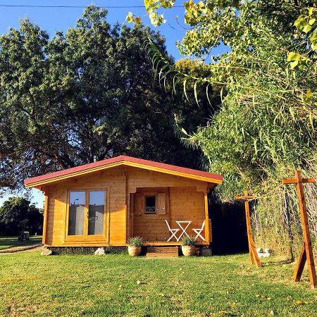 São Pedro do EstorilWoodhouse别墅 外观 照片